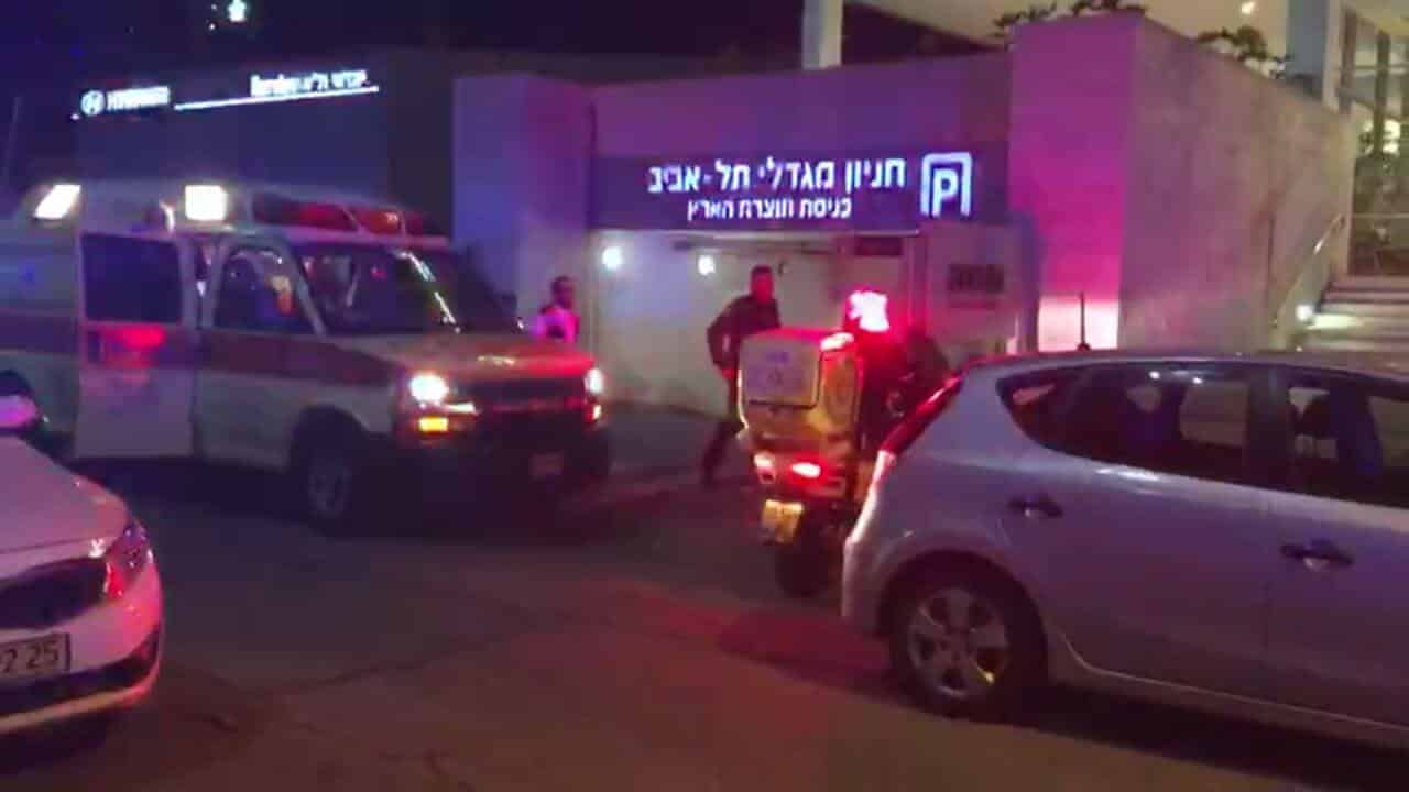 totzeret haaretz ayash