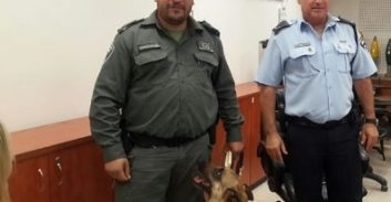 תעודת הערכה לכלבן ולכלב קוסטה על גילוי גופת החייל הנעדר