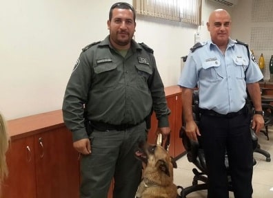 tzi blumenberg - kosta