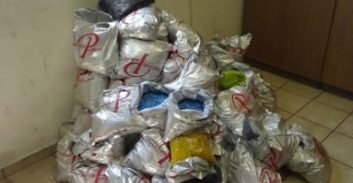 תושב עתלית חשוד בהברחת עשרות אלפי כדורי אין-אונות מהודו