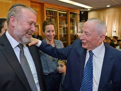 vinshtein mendelblit laam