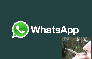 whatsapp logo