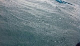 שיטור ימי חיפה חילץ גולש רוח