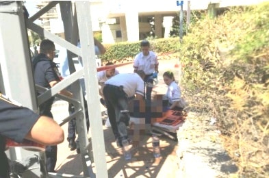 yeri herzelia patzua