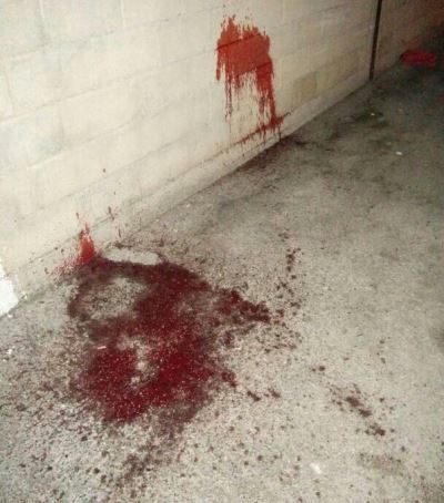 zira raanana 21-4-14