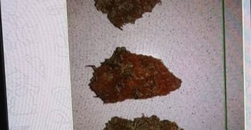 גראס בטלגרם: כתב אישום נגד "השמן של המרכז 24/7"