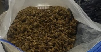 מספר רכב עקום הביא למעצרה של חשודה בסחר בסמים