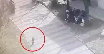 פוסטה TV: הסרטון שתיעד נאשם בדריסת פעוט בחוף אולגה