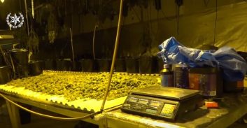 כתבי אישום בתיק רשת הקנאביס המיוחסת לארגון חרירי