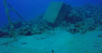 רשות הטבע תובעת ספינת משא שפגעה בריף הדולפינים באילת