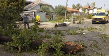 פרדס חנה: שני פצועים בקריסת עץ על משאית ואופנוע