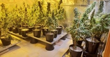 חשודים שנתפסו "על חם" במעבדת קנאביס: "בסך הכל" פרצנו למקום