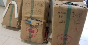 פוסטה TV: כך סוכלה הברחת מאות ק"ג חשיש וקנאביס ממצריים