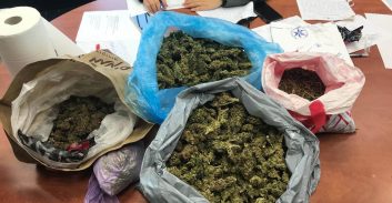 גל מעצרים בגזרת נתניה: 16 חשודים בסחר בסמים וסחיטה באיומים