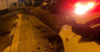 ת"א: נהג רכב פרטי התנגש בעץ ונפצע קשה