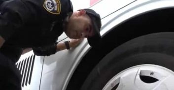 פוסטה TV: ליקויים חמורים באוטובוסים שמסיעים ילדי קייטנות