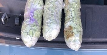 שני תושבי טייבה נתפסו בכניסה לירושלים עם 1,500 כדורי אקסטזי