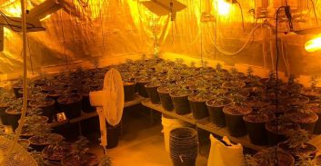 נוף הגליל: מוכר למשטרה נעצר בחשד להפעלת מעבדת "הידרו"