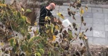 קובלנה פלילית נגד מדען בכיר ממכון ויצמן בטענה שהרעיל עצים ביפו