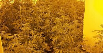 מאסר בפועל לנאשם בתיק סמים שהיה בפיקוח שירות המבחן