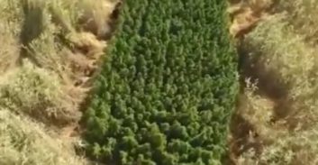 תיעוד מהאוויר: 400 ק"ג קנאביס בשדה שנחשף בקיבוץ חולדה