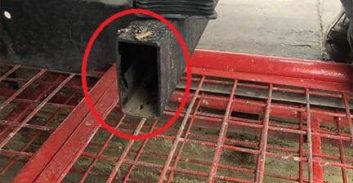 סוכלה הברחת טלפונים וכרטיסי סים לכלא קציעות