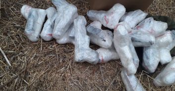 הותר לפרסום: סוכלה הברחת נשק מלבנון