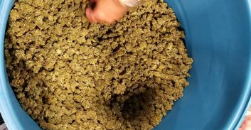 דופקים את החומר