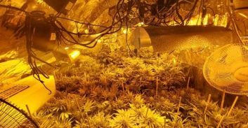 כ – 90 ק"ג קנאביס אותרו במעבדה ביישוב דרומית לעפולה