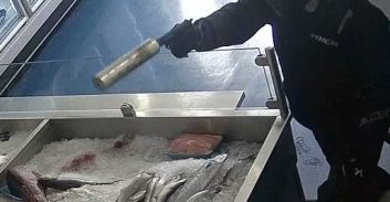 האישום נגד יאיר אוחנה: ירה עם משתיק קול והשאיר את האקדח בזירה