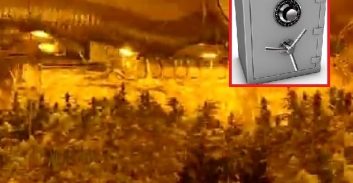 נעצרה על שוד 400 אלף שקל וחשודה גם בגידול 108 ק"ג מריחואנה במרתף