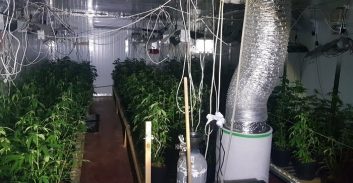 9 חשודים בהפעלת מעבדות הידרו וגידול סמים בשווי 13 מיליון שקל