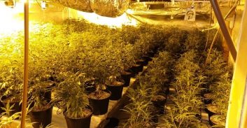 שלוש מעבדות הידרו, שלושה תיקים נפרדים, שלושה נאשמים, שלושה שחרורים