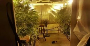 שוחרר באיזוק אלקטרוני נאשם בהחזקת 112 ק"ג קנאביס