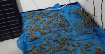 בדרך לשיקום? עבודות שירות לצעיר מעכו על החזקת שישה ק"ג קנאביס