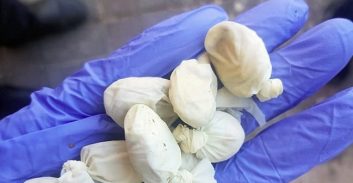 שפרעם: למי שייכים כחצי קילו הרואין שנתפסו בחצר בית?