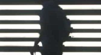 בית משפט דחה בקשה להארכת צו פיקוח על עבריין מין