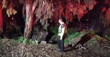 צומת קסטינה: הרוג בתאונת דרכים מרכב שהתהפך