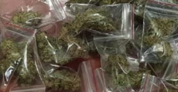 עבודות שירות לצעיר בתיק החזקת חצי קילו קנאביס וסחר בסמים