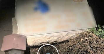 שיא החוצפה: החביאו קוקאין בקבר של חייל בחלקה הצבאית באילת