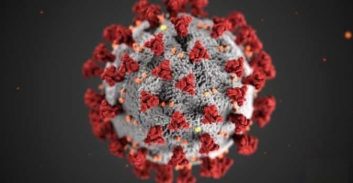 עכשיו, תודות לזו קורונה