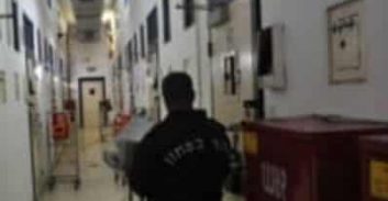 אסיר שגידל 70 ק"ג קנאביס שוחרר לאחר שריצה פחות ממחצית מאסרו