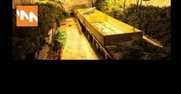 המחיר המופקע של האנרגיה על גידול הקנאביס