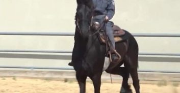 מיוחד ליום העצמאות: סיור וירטואלי במשטרה