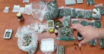 שתילי קנאביס, קריסטל, בולי LSD ופטריות הזיה נתפסו בביתו של תושב נשר