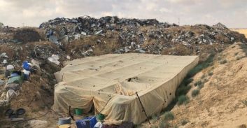 תיעוד: מאות שתילי קנאביס נתפסו בתל שבע