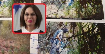 שופטת תקיים דיון בשטח שבו גדלו מאות שתילי קנאביס