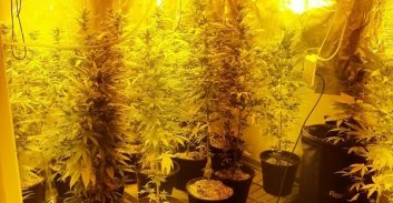 בת 20 שהיתה מבוקשת על דריסת שוטר נעצרה בפשיטה על תחנת סמים בקריות