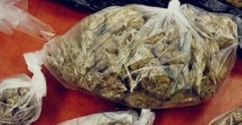 אישום: גידל קנאביס בביתו כדי לכסות חובות לשוק האפור