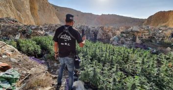 גונבים נשק מצה"ל? משלמים במריחואנה למשטרה